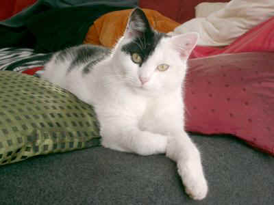 Lilly2.JPG (50709 Byte)