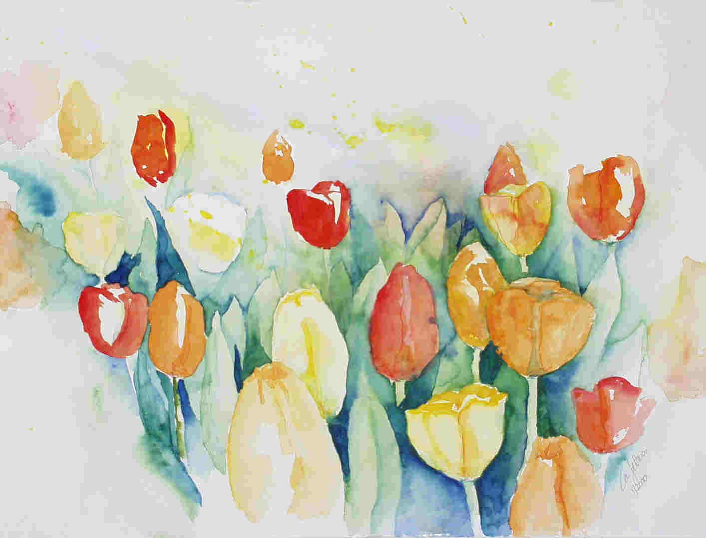 Tulpenfeld, 48x36cm, 2000, ab00_3k 38KB