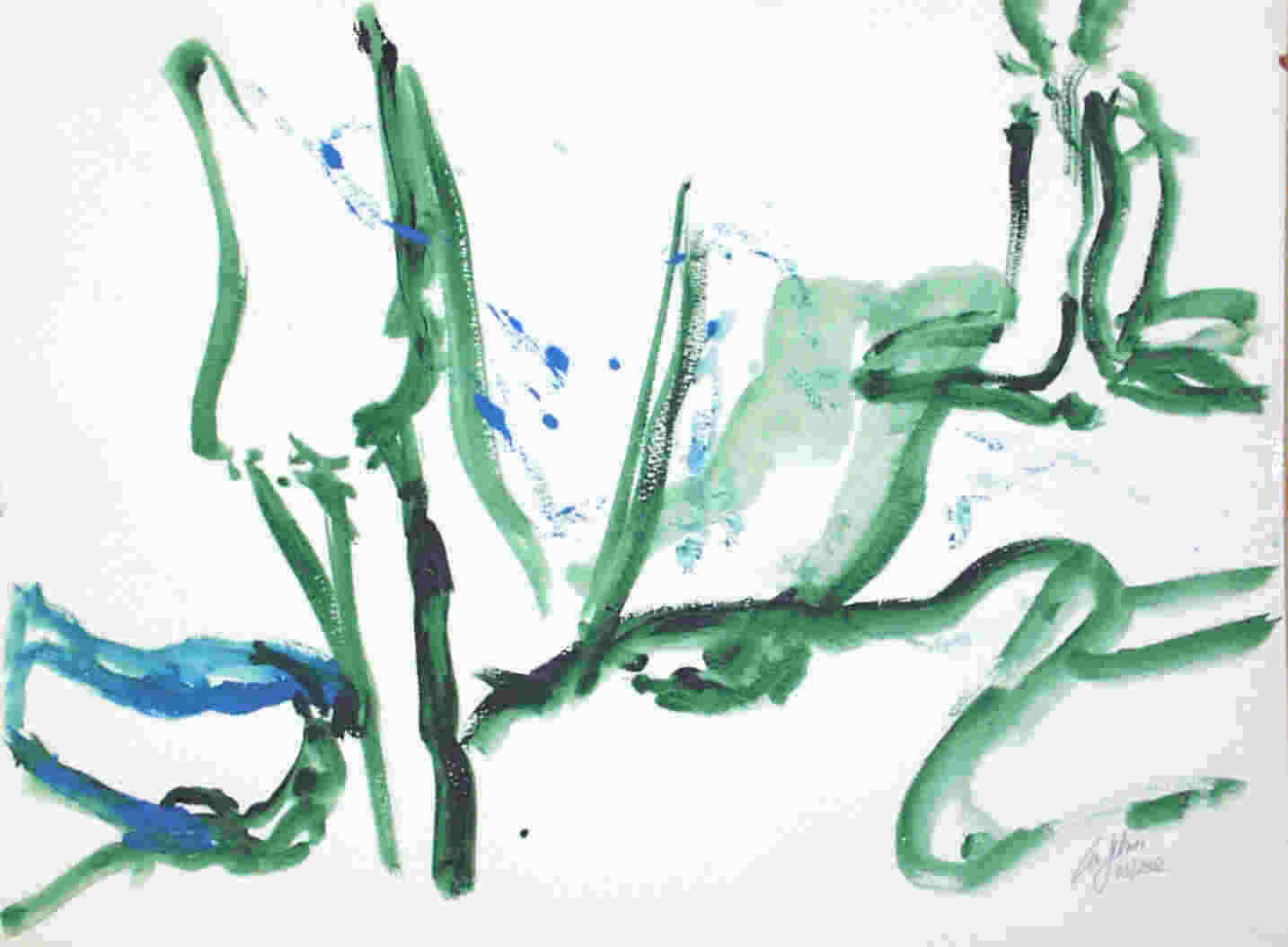 ama02_6k.jpg (57079 Byte)