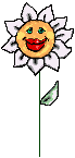 blume1.gif (12174 Byte)